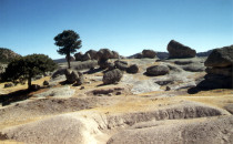landscape near Creel