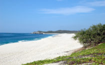 near Bahía San Agustín