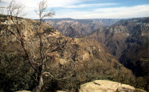 Copper Canyon in Divisadero