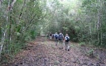 Trek nach El Mirador, Guatemala