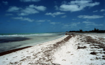 Strand auf der Isla Holbox, Yucatán, Mexiko