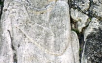 Relief in Palenque