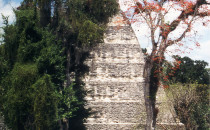 Tikal-Tempel-1, Guatemala