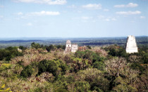 Tikal-Tempel-4-Blick, Guatemala