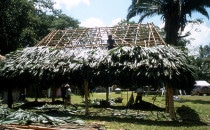 building a palapa in Caracol, Belize