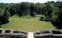 view over the plaza in Caracol, Belize