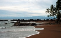Strand in der Drake Bay