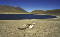 Laguna-Miniques, Chile