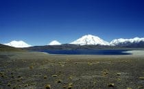 Laguna de Miscanti, Chile