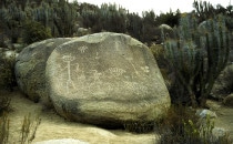 Petroglyphs in the Valle del Encanto