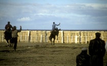Rodeo in Patagonia