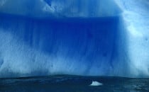 ice floe at the San Rafael Glacier