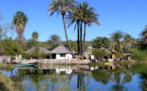 Ignacio Springs B&B, San Ignacio, Baja California Sur, Mexico