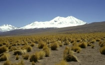 near the Laguna de Miscanti, Chile
