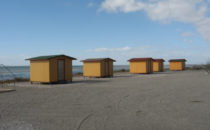 Pachico's Eco Tours, Baja California Sur, Mexiko