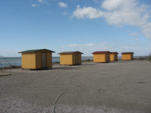 Pachico's Eco Tours, Baja California Sur, Mexiko