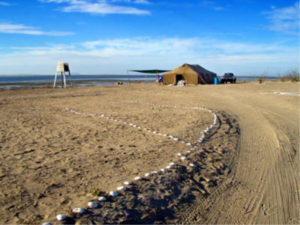 Pachico's Eco Tours, Baja California Sur, Mexiko