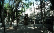 Stelen in Calakmul, Mexiko