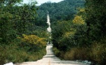 Straße nach Calakmul, Mexiko