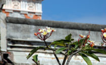Festung San Juan de Ulúa, Veracruz, Mexiko