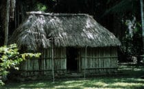 Mayahütte in Kohunlich, Mexiko