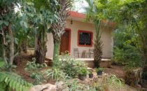 Flycatcher Inn, Santa Elena, Yucatán, Mexico