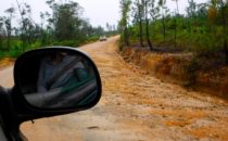 Straße nach Caracol, Belize