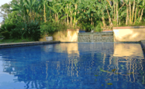 Quinta de las Flores - Pool