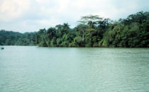 Entrance to Lake Gatún, Panama Canal