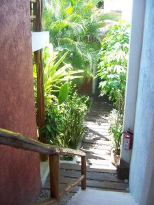 Elements of the Island