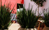 Casa Tsaya, terrace