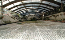 Greenhouse, Quinta Schmoll near Bernal, Mexico