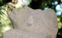 monkey looking up to the sky (detail) - Parque Museo La Venta, Villahermosa, Mexico