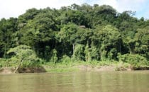 Fahrt nach Yaxchilán