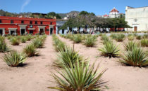 Platz in Oaxaca, Mexiko