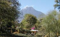 Quinta de las Flores - Blick