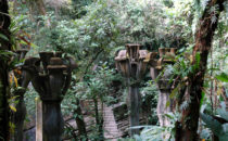 Skupturengarten "Las Pozas" in Xilitla, Mexiko