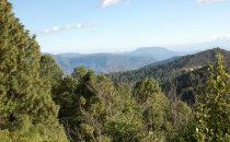Sierra Norte, Oaxaca, Mexiko