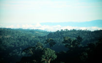 Above the clouds at Mirador de Quetzales