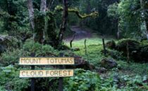 Mount Totumas, Eingang, © Mount Totumas, Panama