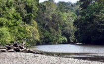 Corcovado NP, © K&T Ledermann