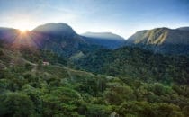 Nebelwald © Mount Totumas, Panama