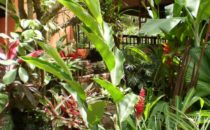 The Orchid Tree, Atenas, Costa Rica