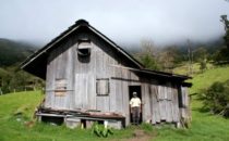 Nachbar der Lodge © Mount Totumas, Panama