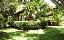 The Orchid Tree, Atenas, Costa Rica
