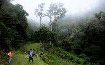 Wanderung, Mount Totumas, © Mount Totumas, Panama