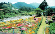 Blumenmesse in Boquete, Panama