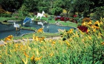 Mi jardín es su jardín, Boquete, Panama