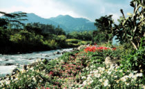 Blumenmesse in Boquete, Panama