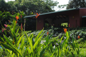 Cacatua Lodge near Uvita, Costa Rica